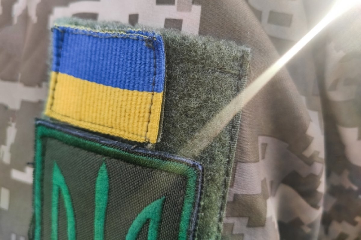 На Украине проверят военкома из-за видео с поцелуями на рабочем месте