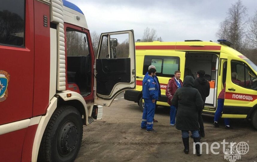 Киришские пожарные спасли заблудившуюся в лесу женщину